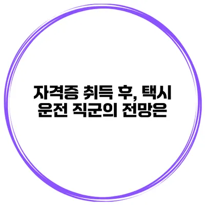 자격증 취득 후, 택시 운전 직군의 전망은?