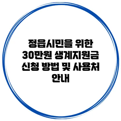 정읍시민을 위한 30만원 생계지원금 신청 방법 및 사용처 안내