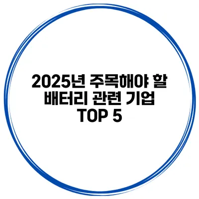 2025년 주목해야 할 배터리 관련 기업 TOP 5