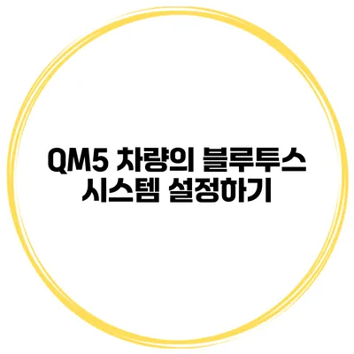QM5 차량의 블루투스 시스템 설정하기