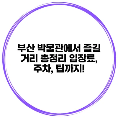 부산 박물관에서 즐길 거리 총정리: 입장료, 주차, 팁까지!
