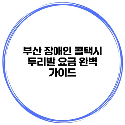 부산 장애인 콜택시 두리발 요금 완벽 가이드