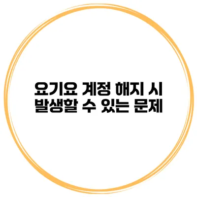 요기요 계정 해지 시 발생할 수 있는 문제